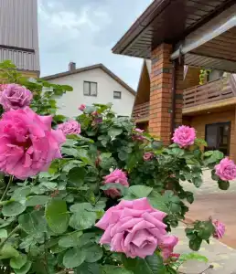 Семейное благо - 9