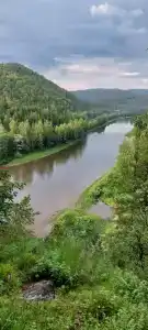 Автобус в лесу - 1