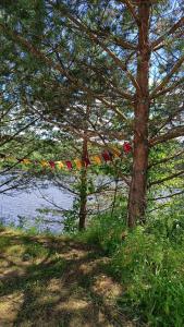 BOHO CAMP - 29