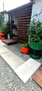 Золотари 5+ - 34