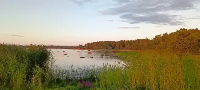 Кандикюля - 37