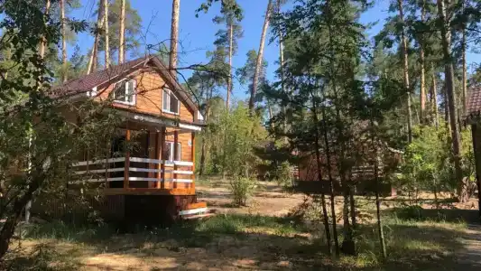 Прометей - 29