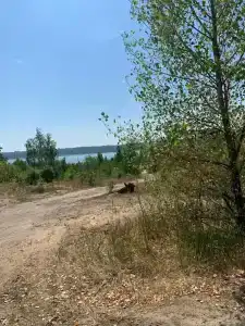 Прометей - 44