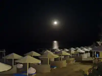 Albatros Citadel Resort - 48