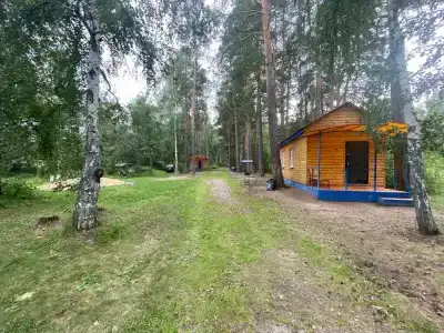 Тихая бухта - 0