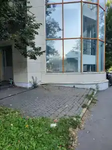 Шиповник - 22