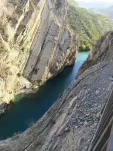 Атлант Экзотик - 4