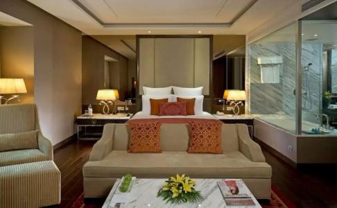 Radisson Blu Jaipur - 65