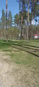 Романтика - 41
