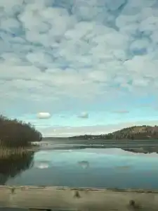 Лунный свет - 39