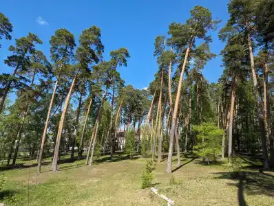 Лесной Бункер - 28