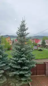 Грин - 6