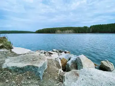 Шелест - 22