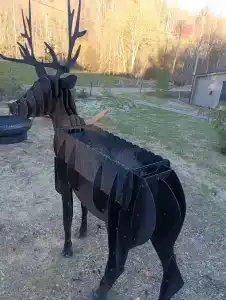 Карельские Лага - 9