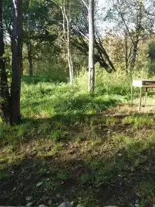 Зелёный холм - 15