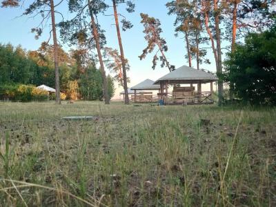 Буревестник - 14