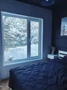 Forest camp - 20