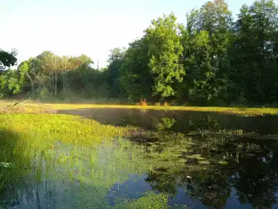 Улыбышево - 11