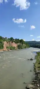 Золотая рыбка - 18