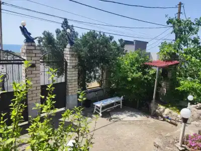Регата - 18