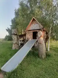 Живица - 40
