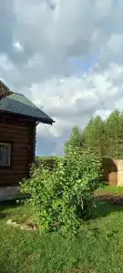 Сокольский Бор - 18