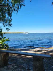 Сосновый бор - 63