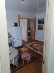 Чуя - 20