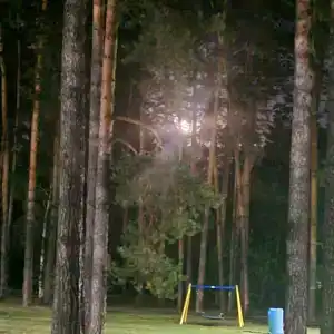 Сосновка - 10