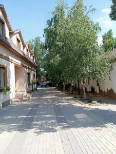 Хуторок - 19