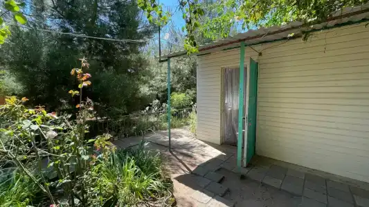 КристОля - 12