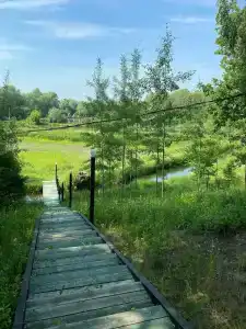 Голден Фиш - 42