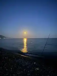 Дарина море - 12