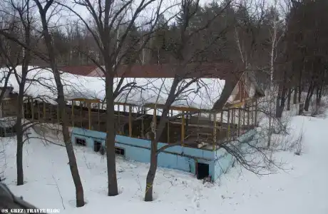 Дубки - 26