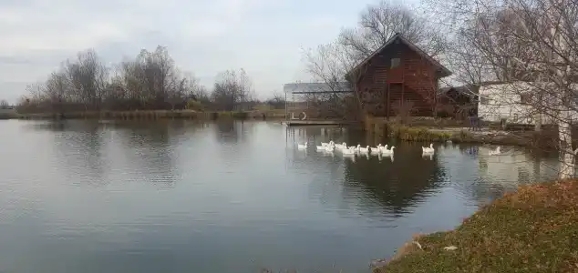 Дом для отпуска у дяди Саши - 20