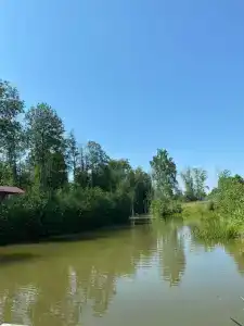Дубровята - 5