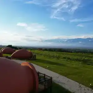 Qvevrebi - 2