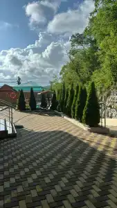 Форест - 15