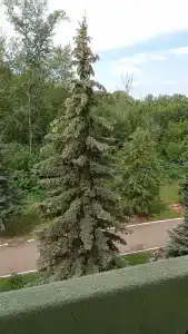 Санаторий-профилакторий Ольховка - 39