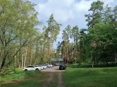 Лесная сказка - 30