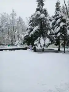 Приморье - 98
