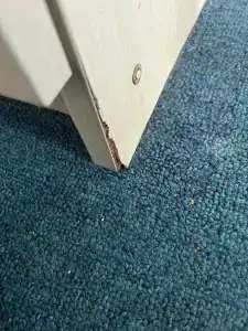 Бригантина - 53