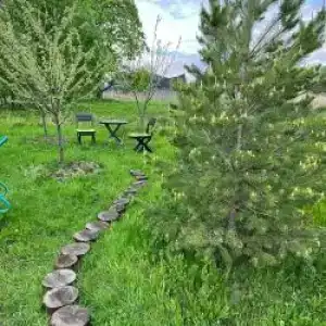 Рай в шалаше - 22