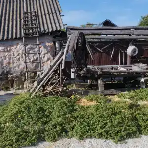 Сельская Усадьба - 60