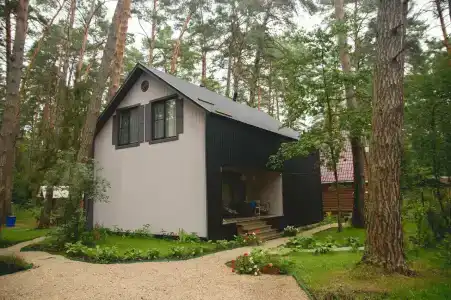Шепот Вашаны - 21