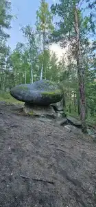 Каменные грибы - 3