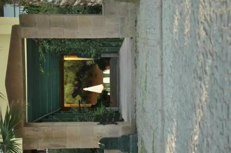 Palm Court Suites - 52