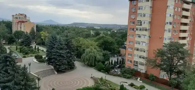 Дон - 24