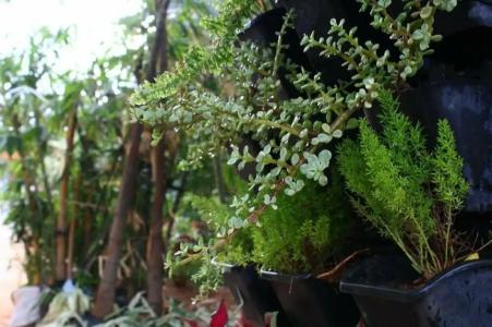 Vgp Golden Beach Resort - 36