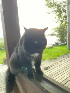 Экотель - 99